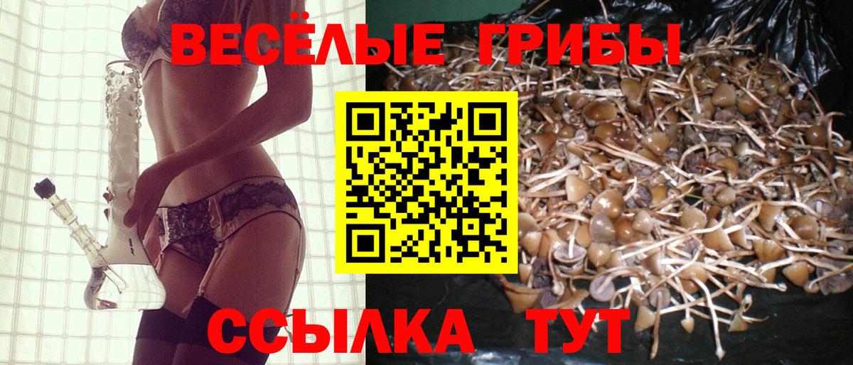 Псилоцибиновые грибы Psilocybine cubensis Фролово
