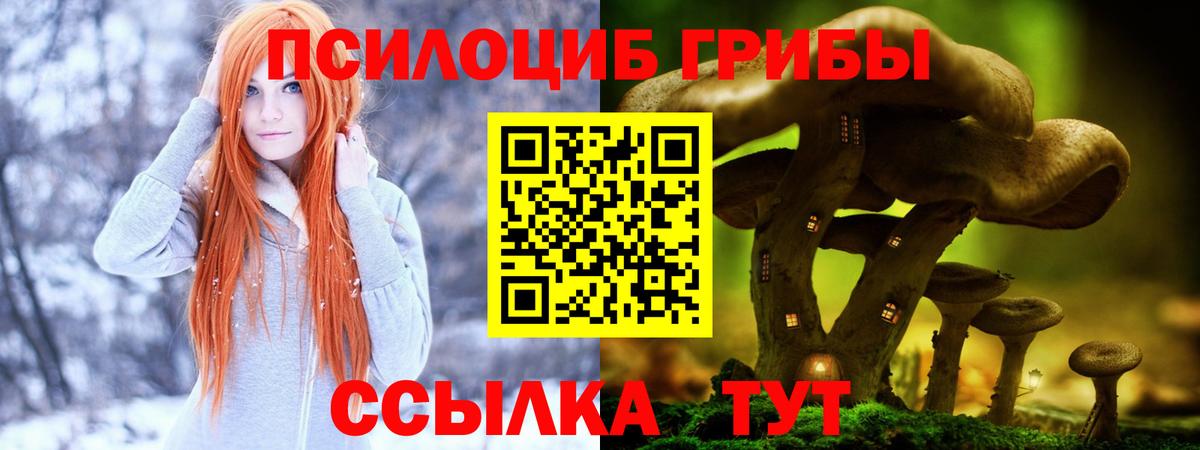 Галлюциногенные грибы Cubensis  Псилоцибиновые грибы Cubensis  Фролово  Вход с VPN 